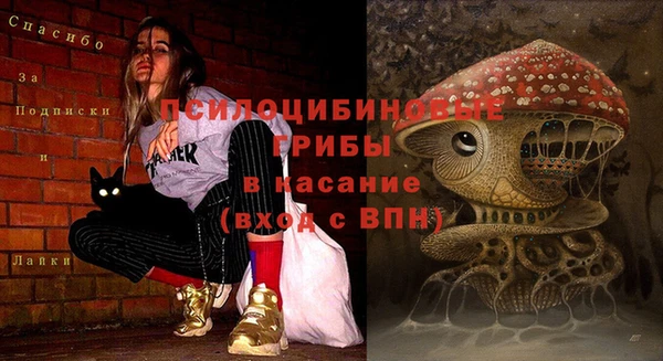 эйфоретик Кукмор