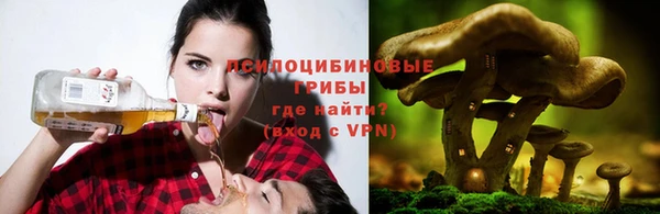 кокс Лагань