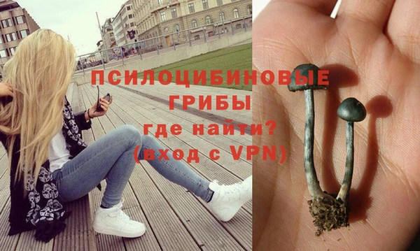 героин Лабытнанги